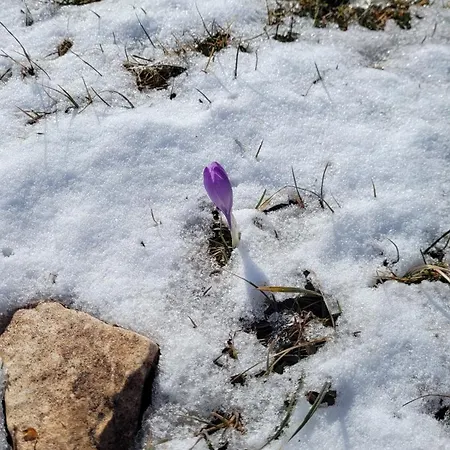 Casa Ludovici 度假居