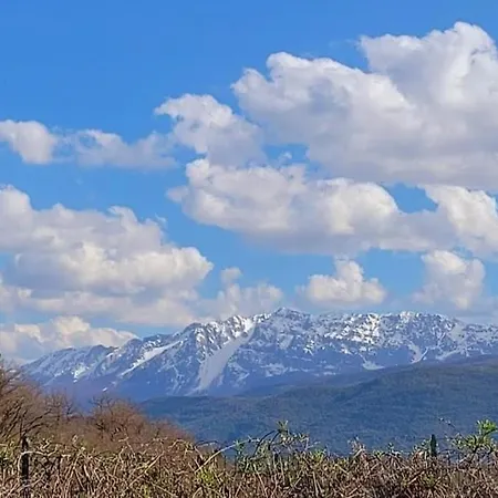 Casa Ludovici 度假居