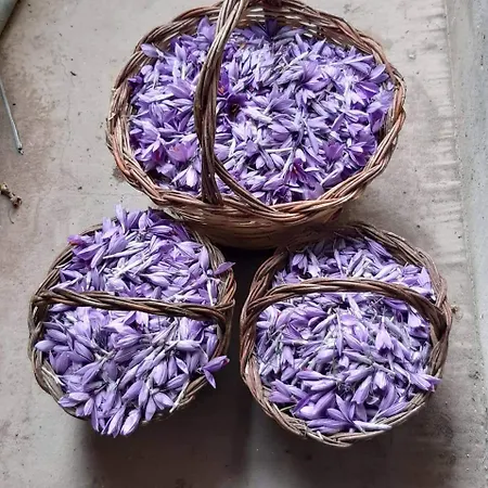 Casa de Férias Casa Ludovici *