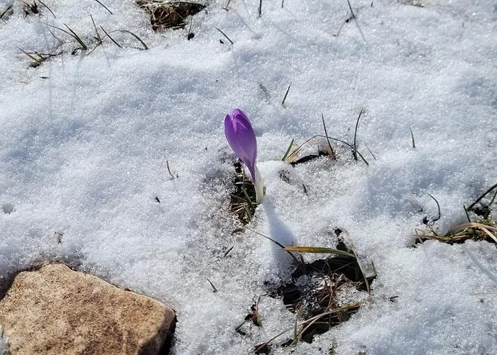 Casa Ludovici 펜션