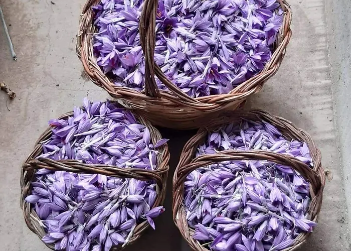 Σπίτι διακοπών Casa Ludovici *